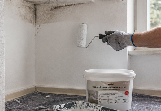 Anti-Schimmel-Farbe - Schimmel an der Wand dauerhaft entfernen